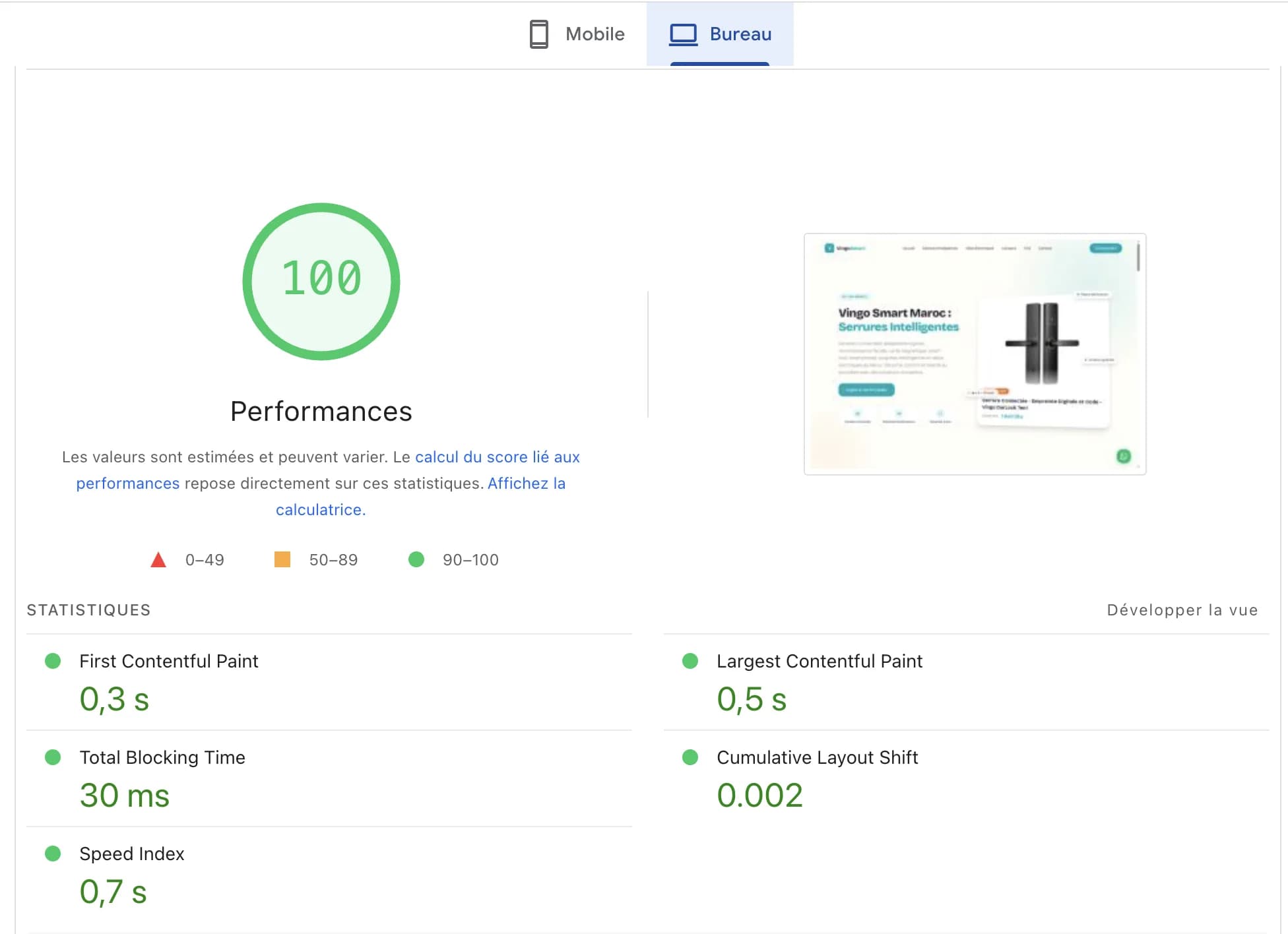 Vingo Smart : 100/100 en performance sur PageSpeed, contenu principal affiché en 0,5 seconde